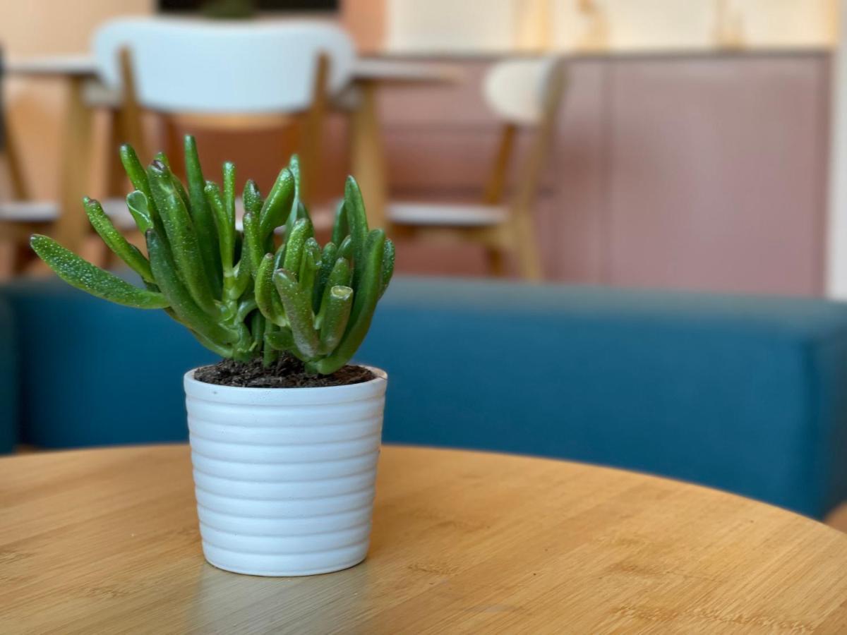 Floral Inn Prishtinë Ngoại thất bức ảnh